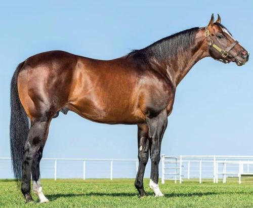 DESIRIO (1 Cobertura)