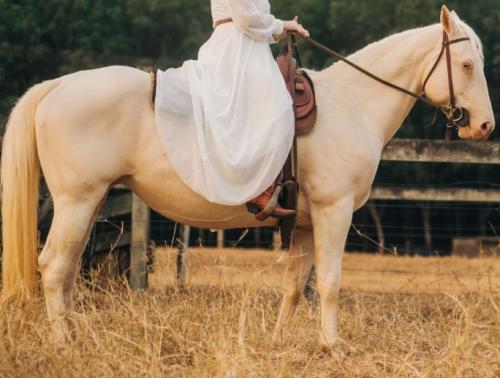 SHARON SHADYBLUE AJN