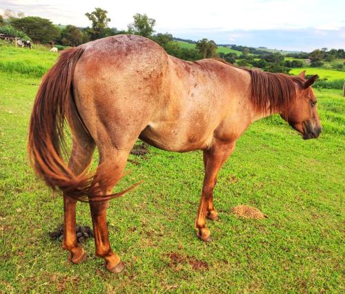 STREAK OF MOON x BELA DASH BROWN