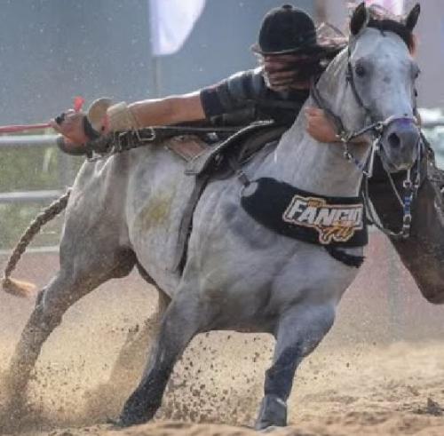 HFJ FANGIO FIT (1 Cobertura)