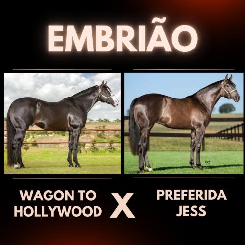 WAGON TO HOLLYWOOD X PREFERIDA JESS (Embrião Efetivado)