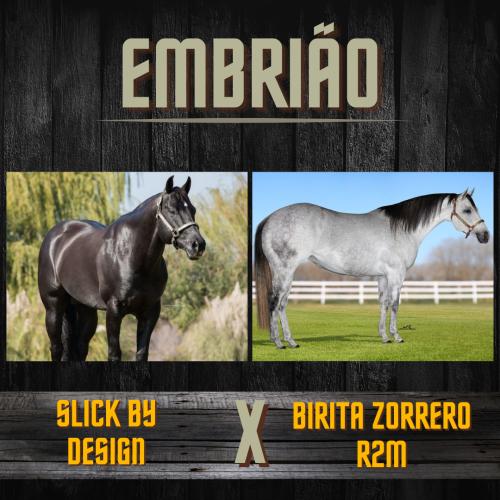 SLICK BY DESIGN X BIRITA ZORRERO R2M (Embrião efetivado)