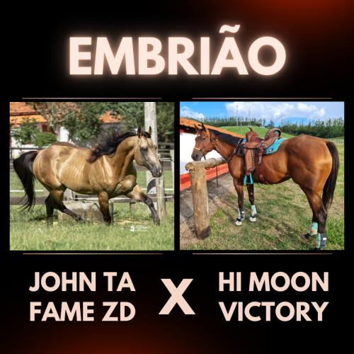 JOHN TA FAME ZD X HI MOON VICTORY (Embrião Efetivado)