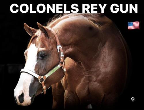 COLONELS REY GUN (1 Cobertura)