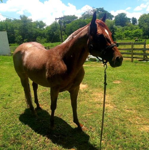 KEN ON ME (3 Coberturas)