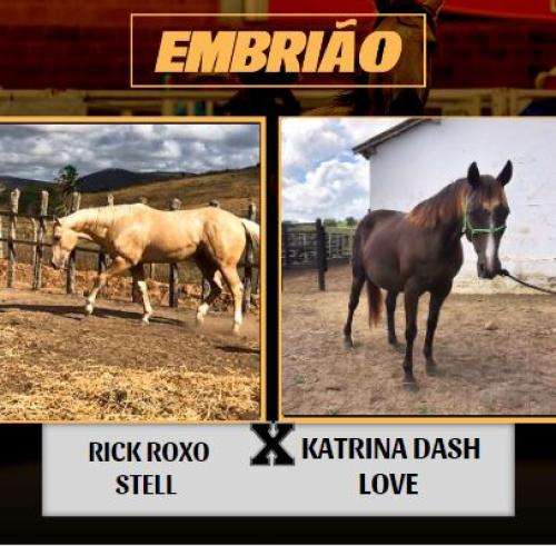 RICK ROXO STELL X KATRINA DASH LOVE (EMBRIÃO A EFETIVAR)