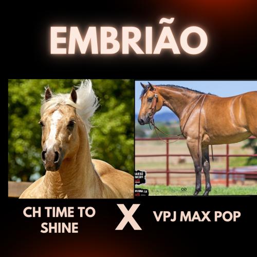 CH TIME TO SHINE x VPJ MAX POP (Embrião a efetivar)
