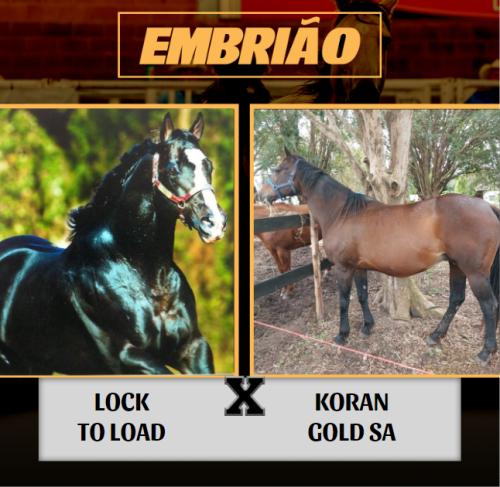 LOCK TO LOAD X KORAN GOLD SA (Embrião a efetivar)