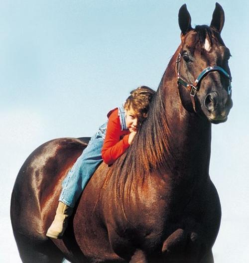 EF SHADY BROWN (1 Cobertura) 