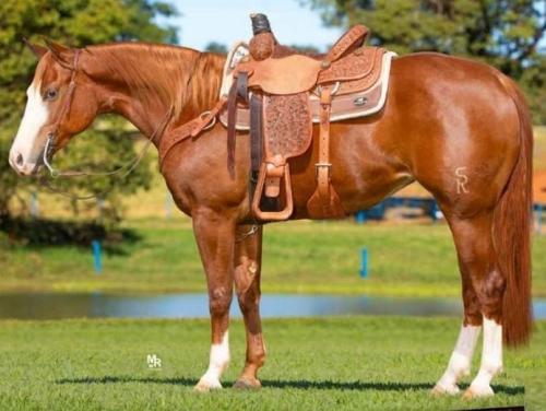 HELENA BONSMAL SHOOT