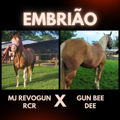 MJ REVOGUN RCR X GUN BEE DEE (Embrião Efetivado)