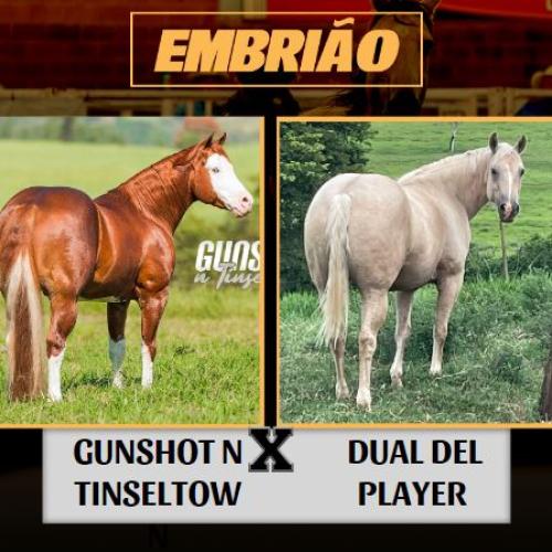 GUNSHOT N TINSELTOWN X DUAL DEL PLAYER (Embrião Efetivado)