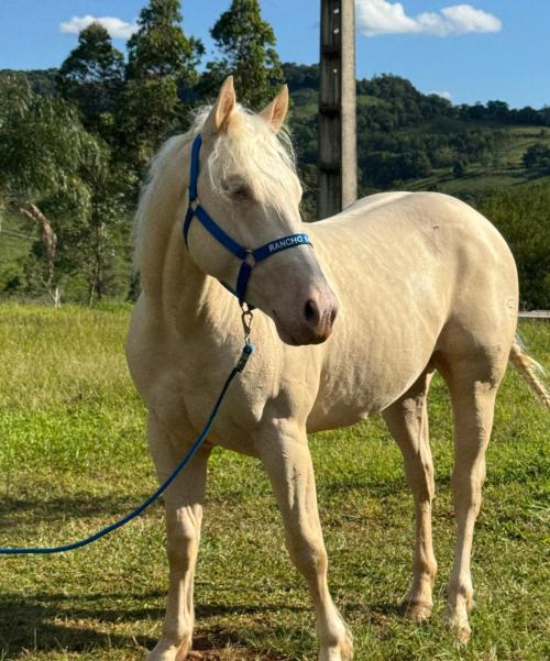 SPOOK LITTLE BRUDDER