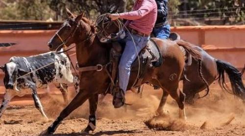 BLOOM PEPPY (Lote 2 em 1)