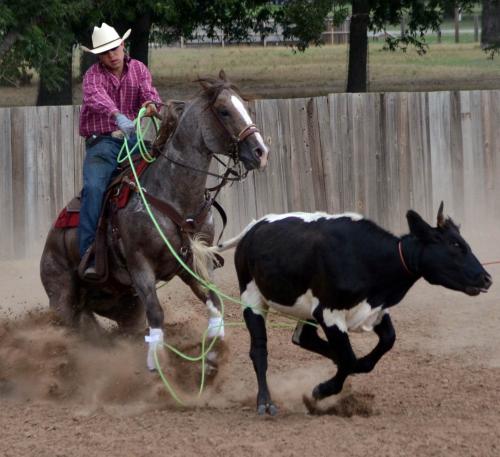 ROAN TEXAS (Cota)