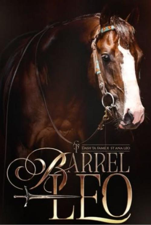 ST BARREL LEO (1 Cobertura)