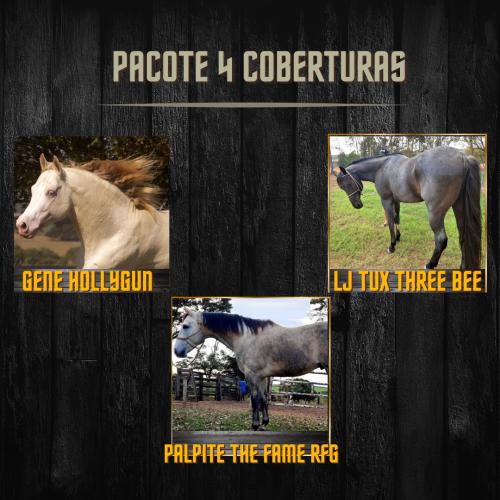 PACOTE DE 4 COBERTURAS