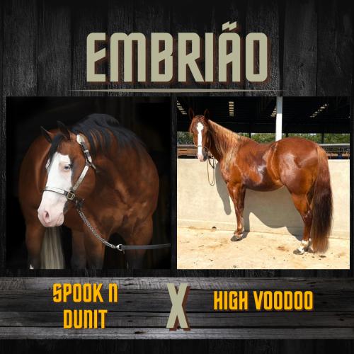 SPOOK N DUNIT X HIGH VOODOO (Embrião a efetivar)