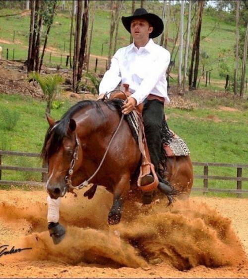 GUNNASPARKYA (1 Cobertura)