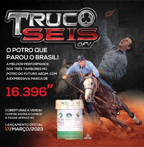 TRUCOSEIS OFV (1 Cobertura)