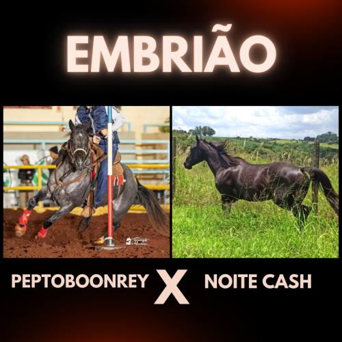 PEPTOBOONREY X NOITE CASH (Embrião a efetivar)