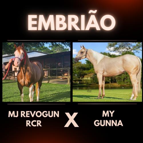 MJ REVOGUN RCR X MY GUNNA (Embrião Efetivado)